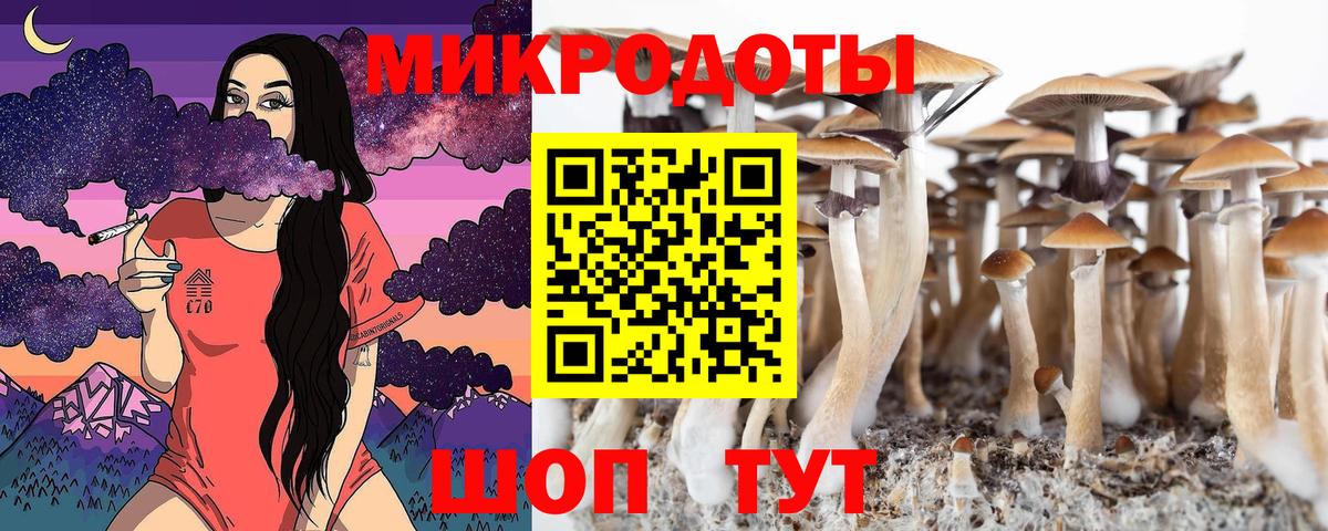 Псилоцибиновые грибы Cubensis  Вход с VPN  где продают   Котовск 